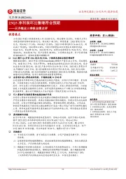 天齐锂业三季报业绩点评：23Q3净利润环比微增符合预期