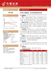 2023Q3业绩高增，多业务线发展迎来共振