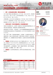 外延内功精益求精,双海战略稳扎稳打