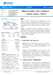 三季报点评:聚酰胺应用加速推进,看好公司长期成长性
