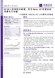 公司事件点评报告：Q3收入利润同比高增，华为Mate 60有望拉动消费电子回暖