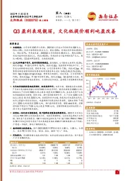 2023年三季报点评:Q3盈利表现靓丽,文化纸提价顺利吨盈改善