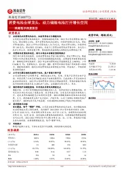 珠海冠宇深度报告：消费电池全球龙头，动力储能电池打开增长空间