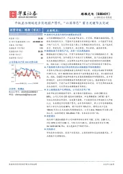 平板显示领域逐步实现国产替代，“以屏带芯”蓄力关键节点突破