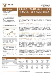 业绩短期承压,海外布局持续推进