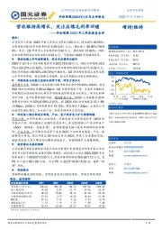 2023年三季度报告点评：营收维持高增长，关注后续毛利率回暖