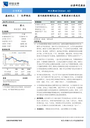 国内粘胶剂领先企业，新赛道助力高成长