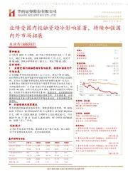 业绩受国内投融资趋冷影响显著,持续加强国内外市场拓展