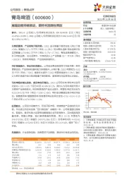 高端进程持续推进,期待利润弹性释放