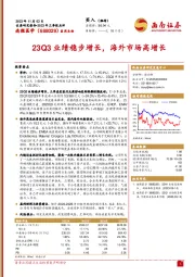 2023年三季报点评：23Q3业绩稳步增长，海外市场高增长