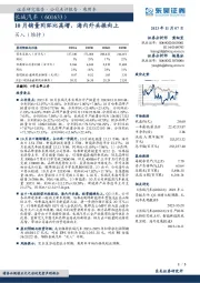 10月销量同环比高增，海内外共振向上