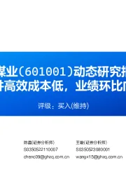 动态研究报告：矿井高效成本低，业绩环比向好