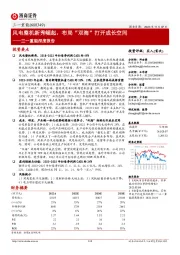 三一重能深度报告:风电整机新秀崛起,布局“双海”打开成长空间