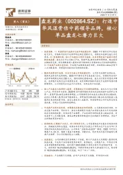 打造中华风湿骨伤中药领导品牌,核心单品盘龙七潜力巨大