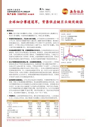 全球细分赛道冠军，背靠供应链巨头做优做强