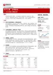 三季报点评:花开正盛,全球进击