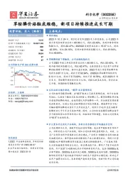 草铵膦价格触底维稳，新项目持续推进成长可期