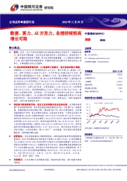 数据、算力、AI齐发力，业绩持续较高增长可期