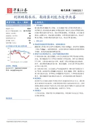 利润短期承压，期待盈利能力逐步改善