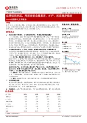 中船特气点评报告：业绩短期承压，周期底部企稳复苏，扩产、拓品稳步推进