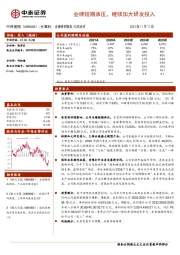业绩短期承压,继续加大研发投入