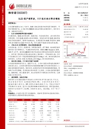 OLED国产领军者，ViP技术助力降本增效