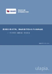 深度报告:聚焦潜力新兴市场,稀缺的海外商业化平台扬帆起航