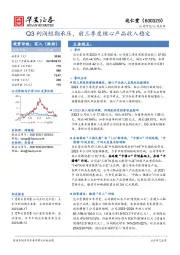 Q3利润短期承压，前三季度核心产品收入稳定