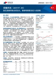 胎压监测系统全球龙头，智能驾驶新品进入收获期