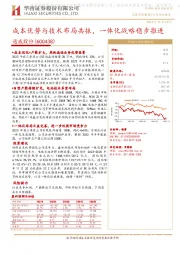 成本优势与技术布局共振,一体化战略稳步推进
