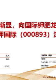 深度报告：规模化效应渐显，向国际钾肥龙头快速迈进