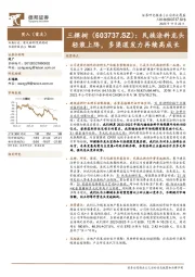 民族涂料龙头轻装上阵，多渠道发力再续高成长