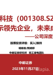 公司深度报告：智能显示领先企业，未来成长可期