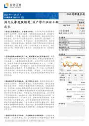 国内反渗透膜翘楚,国产替代驱动长期成长