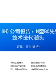 公司报告:N型BC先锋,电池龙头再立技术迭代潮头