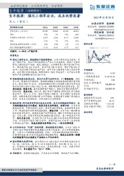 宝丰能源：煤化工领军企业，成本优势显著