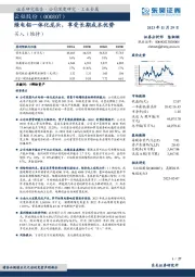 绿电铝一体化龙头,享受长期成本优势