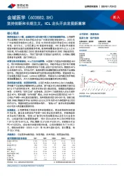 坚持创新和长期主义,ICL龙头开启发展新篇章