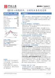 Q3收入短期承压，注射剂业务表现亮眼