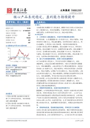 核心产品表现稳定，盈利能力持续提升