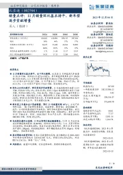 销量点评：11月销量环比基本持平，新车型逐步贡献增量