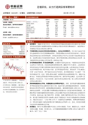 定增获批，合力打造网安领军新标杆