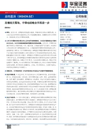 定增批文落地,中移动战略合作再进一步
