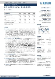 11月批发环比+4.8%，智己表现亮眼