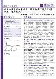 公司动态研究报告:动压油膜滑动轴承龙头,风电轴承“国产化+滑代滚”潜力巨大