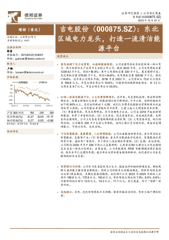 东北区域电力龙头，打造一流清洁能源平台