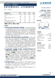 优质汽车微电机龙头，公司长期发展可期