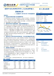 首次覆盖报告：逐渐平台化的神经外科人工合成材料植入器械领先者