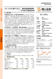 东芯股份首次覆盖深度报告：SLC NAND国产小巨人，深耕利基穿越周期