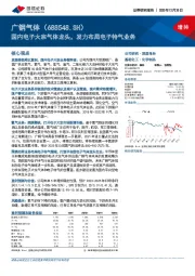 国内电子大宗气体龙头，发力布局电子特气业务